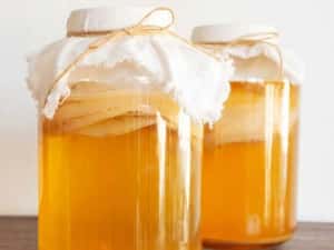 Kombucha SCOBY (ciuperca) + lichid starter + ghid utilizare cu imagini — miniatura 5