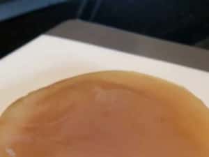 Kombucha SCOBY (ciuperca) + lichid starter + ghid utilizare cu imagini — miniatura 6