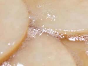 Kombucha SCOBY (ciuperca) + lichid starter + ghid utilizare cu imagini — miniatura 7