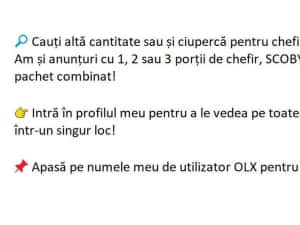 Kombucha SCOBY (ciuperca) + lichid starter + ghid utilizare cu imagini — miniatura 8