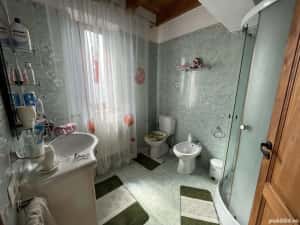 Vila P+M, an 2021, teren 3600 mp, D=50 m, Brancoveni — miniatura 9