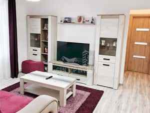 Apartament 2 camere cu balcon in Terezian — miniatura 3
