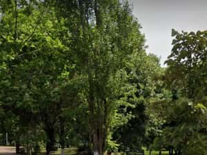 Apartament 4 camere, zona Parc Tineretului. Loc parcare. — miniatura 2