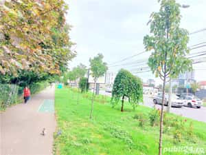 Circumvalațiunii apartament cu două camere — miniatura 3