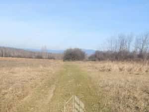 TEREN AGRICOL 1,524 HA, LA DOAR 10.000€ Comision Zero % — miniatura 1