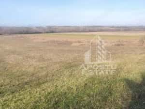 TEREN AGRICOL 1,524 HA, LA DOAR 10.000€ Comision Zero % — miniatura 2