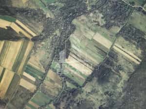 TEREN AGRICOL 1,524 HA, LA DOAR 10.000€ Comision Zero % — miniatura 3