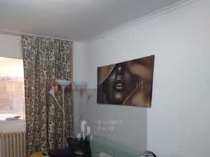 Apartament 2 camere curte proprie parter Prelungirea Ferentari/Salaj — miniatura 3