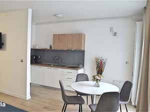 Apartament cu 1 camera de vanzare – zona centrala, langa Parcul Fero — miniatura 4
