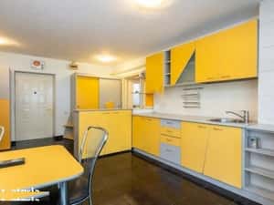 Propietar Ap2 Cam Calea Calarasilor