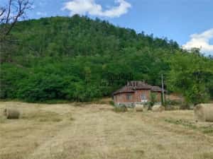 Teren, padure si casa in Dumbrava de Jos, jud. Hunedoara — miniatura 2