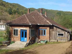 Teren, padure si casa in Dumbrava de Jos, jud. Hunedoara — miniatura 5