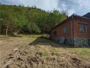 Teren, padure si casa in Dumbrava de Jos, jud. Hunedoara — miniatura 6