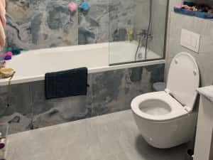 Vand casa cu 5 camere si 3 bai in Sacalaz la 6 km de Iulius Mall — miniatura 4