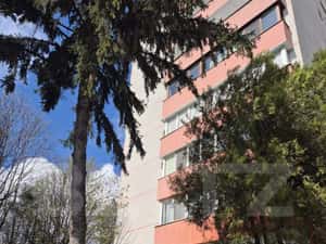 Apartament cu 3 camere, 60 mp, confort 1, vedere deosebita - Dambu Pie — miniatura 1