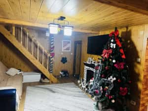 Casa de vanzare 3 camere 55 mp la poalele muntelui Valea Doftanei — miniatura 6