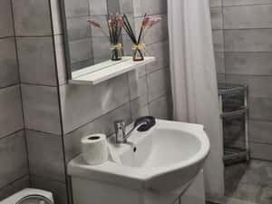 Apartament o camera de inchiriat