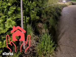 JANDARMERIEI (THE IVY)-PRIMA LOCUIRE, bloc 2025, ne/semi/mobilat, parc — miniatura 4