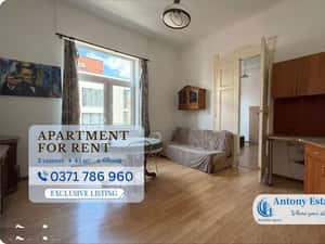 Apartament de inchiriat, 2 camere, Olosig Oradea