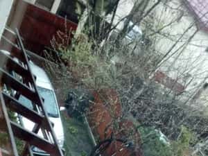 PROPRIETAR Vanzare 15_minute_LA_PAS (500metri) de parcul COPOU, util 250mp P+E+M, 615mp teren — miniatura 4