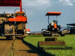 Producător rulouri de gazon ferma Vrancea — miniatura 3