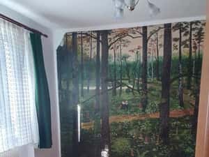 cv 167 D.Cantemir-RFN, apartament 4 camere — miniatura 5