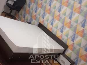 Apartament cu 2 camere, de inchiriat, parter, Lipovei, Timisoara — miniatura 4