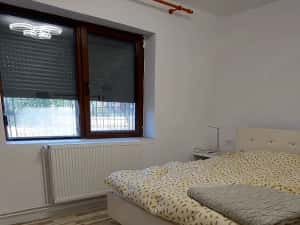 Vila in Dudesctii Noi toate utilitatile strada asfaltata teren 1800 mp — miniatura 3