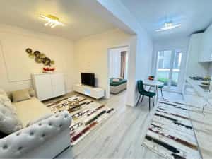 Regim hotelier Doamna Stanca — miniatura 5