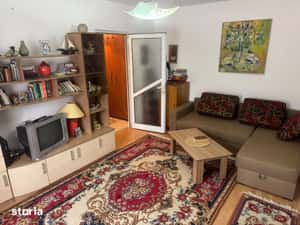 Apartament cu 2 camere de vanzare-aleea parcului — miniatura 5