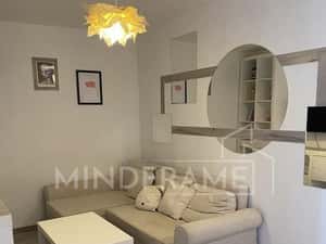 Vitan Mall Calea Dudesti Metrou Dristor Prima inchiriere — miniatura 3