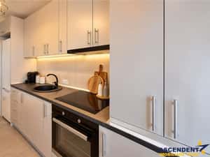Studio elegant, mobilat, utilat, terasa, parcare, pietonala Kasper, Co — miniatura 5