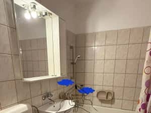 Apartament 2 camere, PET FRIENDLY - 45 mp - zona Astra — miniatura 9