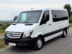 Mercedes Sprinter 315CDI An 2011 8+1 — miniatura 2