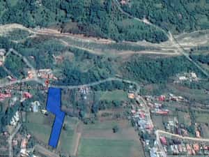 Teren intravilan 4.733 mp - Drajna de Jos, Prahova