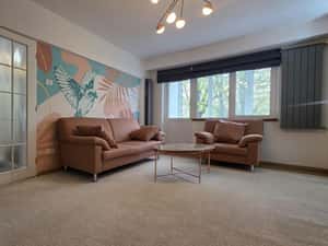 Bulevardul Unirii Fantani - Piata Constitutiei — miniatura 4