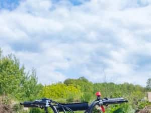 Mini Atv Quad adus din Germania pentru copii pe benzina de 50 cc — miniatura 5