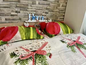 Garsoniera in regim hotelier 100 lei  /noapte Spitalul Judetean — miniatura 4