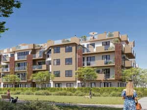 AP 2 CAM DECOMANDAT PALLADY! — miniatura 4