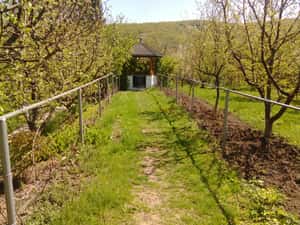 Vand conac+3540mp in Valenii de Munte, — miniatura 5