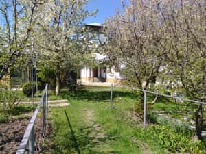 Vand conac+3540mp in Valenii de Munte, — miniatura 10