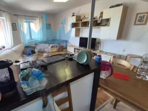 Apartament 3 Camere Domenii Bucuresti — miniatura 5