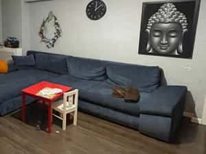 3 camere plus boxa Caramfil — miniatura 3
