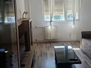 Apartament 2 camere, Titulescu- Banu Manta - Victoriei — miniatura 4