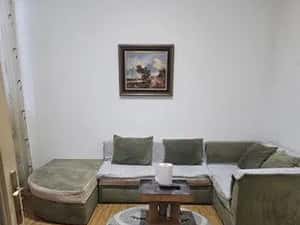 apartament 2 camere la curte/zona Parcul Carol/modern utilat — miniatura 1