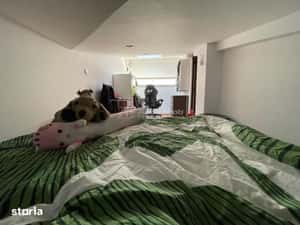 Duplex, 3 Camere, Aparatorii Patriei, Centrala Proprie, 5 min Metrou — miniatura 6