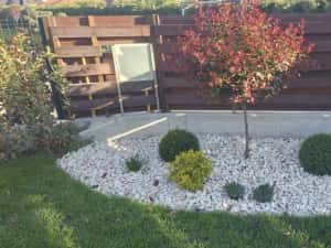 Piatra naturala decorativa pentru gradina livrare in toata tara Slatina — miniatura 7