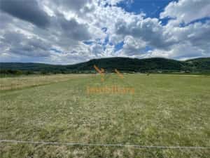 TEREN INTRAVILAN 8000 MP | PARTIAL IMPREJMUIT | PESTERE | BIHOR | — miniatura 2