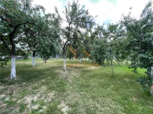 TEREN INTRAVILAN 8000 MP | PARTIAL IMPREJMUIT | PESTERE | BIHOR | — miniatura 4