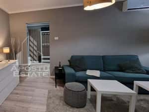 Apartament cu 2 camere de inchiriat,petfriendly,Take Ionescu,Timisoara — miniatura 2